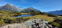 New-Zealand 2.0