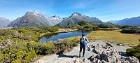 New-Zealand 2.0
