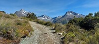 New-Zealand 2.0