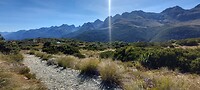 New-Zealand 2.0