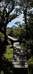 New-Zealand 2.0