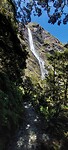 New-Zealand 2.0