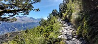 New-Zealand 2.0
