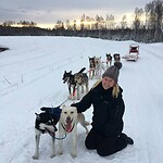 Trip Alaska