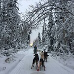 Trip Alaska