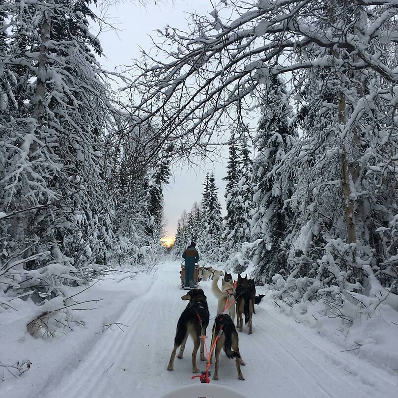 Trip Alaska