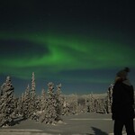 Trip Alaska
