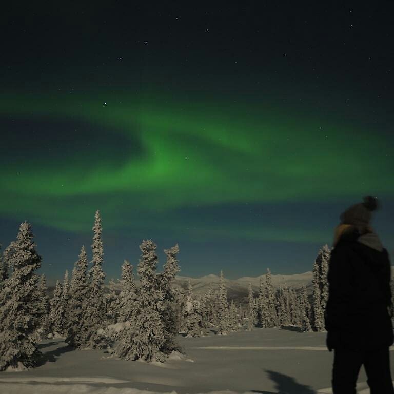 Trip Alaska