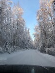 Trip Alaska