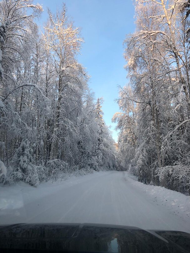 Trip Alaska