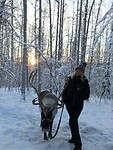 Trip Alaska