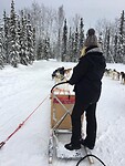 Trip Alaska