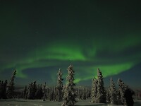 Trip Alaska