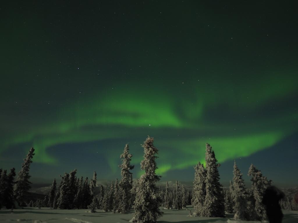 Trip Alaska