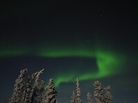 Trip Alaska