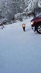 Trip Alaska