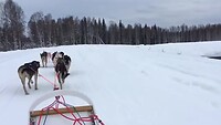 Trip Alaska