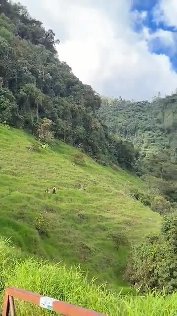 Colombia