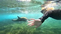 Galapagos eilanden