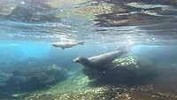 Galapagos eilanden