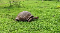 Galapagos eilanden