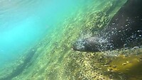 Galapagos eilanden