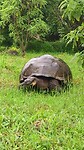 Galapagos eilanden
