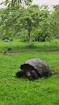 Galapagos eilanden