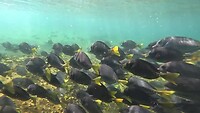 Galapagos eilanden