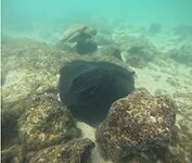 Galapagos eilanden