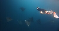 Galapagos eilanden