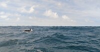 Galapagos eilanden