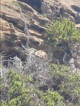 Galapagos eilanden