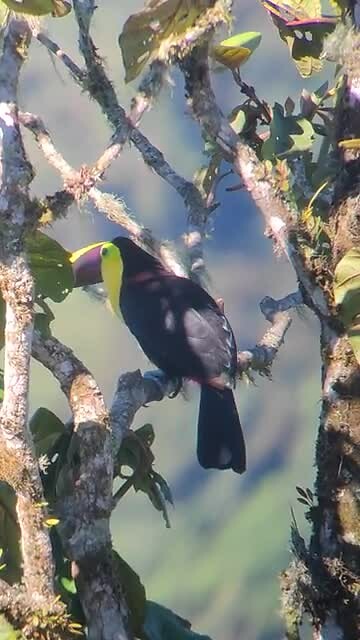 Ecuador