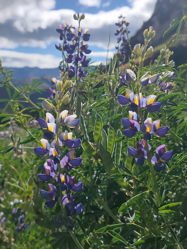 Ecuador