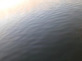 IMG_20140715_205410