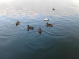 IMG_20140715_210419