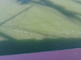 IMG_20140805_111118