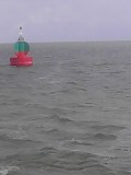 IMG_20140814_143121