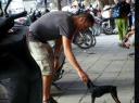 Zwak voor rabies!