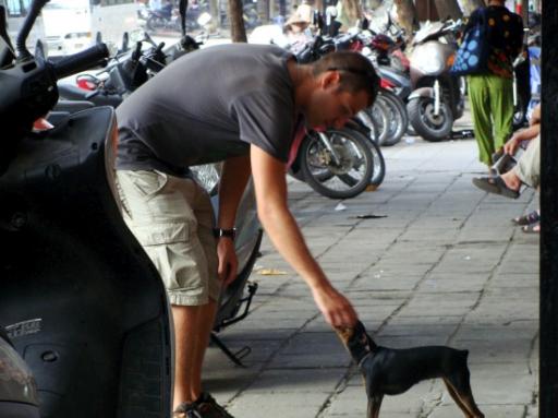 Zwak voor rabies!