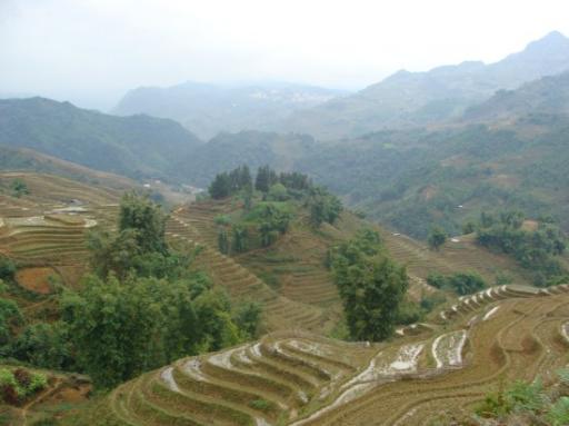 Sa Pa