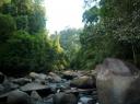 Kao Sok national park