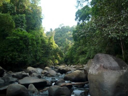 Kao Sok national park