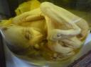 Embryo van een Gibbon