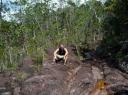Back to nature