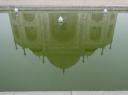 DSC01008-550