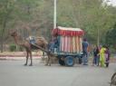 P1060196-550