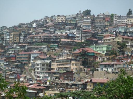 P1060247-550