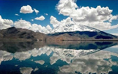 karakul